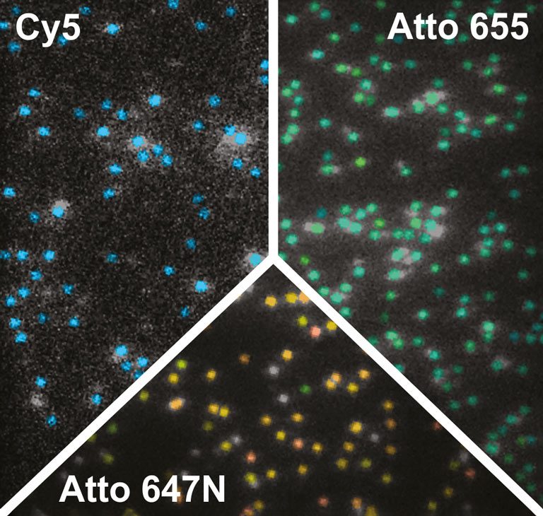 Widefield single molecule acquisition